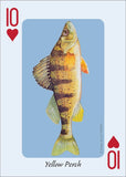 Fish of the Midwest Playing Cards (Nature's Wild Cards)