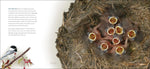 Bird Nests: Amazingly Ingenious and Intricate (Nature Appreciation) by Stan Tekeila