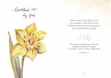 Garden of Truth (Preaching Truth to My Own Heart) by Ruth Chou Simons