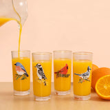Feathered Friends Bird Tall Juice Glass Set