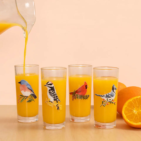 Feathered Friends Bird Tall Juice Glass Set