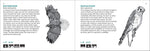 Bird Finder: Identifying Common Birds of Eastern North America (Nature Study Guides)