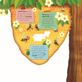 Discovering the Busy World of the Beehive (Peek Inside) by Petra Bartikova