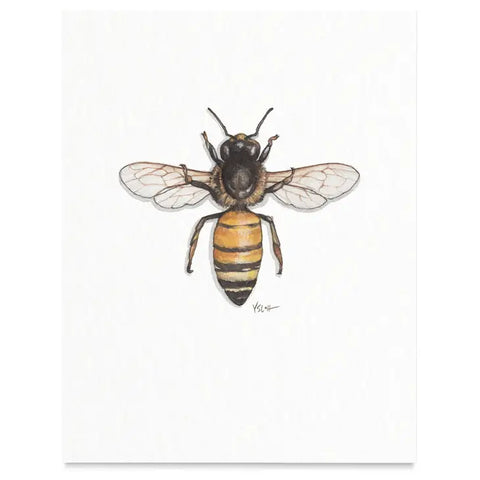 Bees & Honey / Prints . Honey Bee