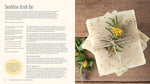 The Big Book of Homemade Products for Your Skin, Health and Home