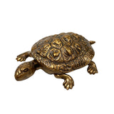 Antiqued Brass Turtle Box Tabletop Desk Decor
