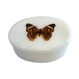 Buckeye Butterfly White Oval Soapstone Jewelry Storage Box