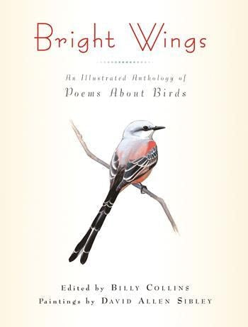 Bright Wings: An Illustrated Anthology of Poems about Birds by Billy Collins, David Allen Sibley