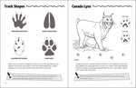 Animal Tracks Activity Book (Color and Learn)