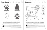 Animal Tracks Activity Book (Color and Learn)