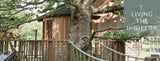Tree Houses Reimagined: Luxurious Retreats for Tranquility and Play by Blue Forest and E. Ashley Rooney