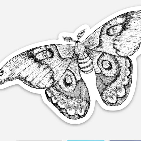 Moth Sticker Waterproof Decal Nature