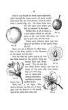 Plants and Their Children by Frances Theodora Parsons