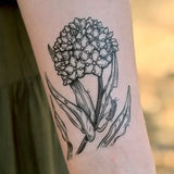 Milkweed Temporary Tattoo