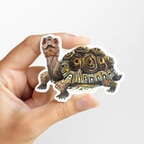 Box Turtle Vinyl Sticker