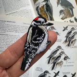 Downy Woodpecker Patch