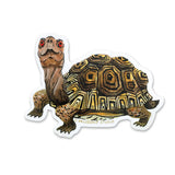 Box Turtle Vinyl Sticker