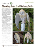 Carving Creative Walking Sticks and Canes: 13 Projects to Carve in Wood by Paul Purnell