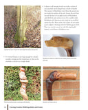 Carving Creative Walking Sticks and Canes: 13 Projects to Carve in Wood by Paul Purnell