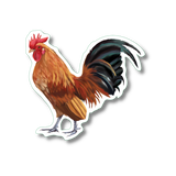 Bantam Rooster Nature Sticker