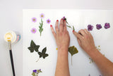 The Little Book of Flower Pressing: All the Basics Plus 11 Projects to Inspire You by Laëtitia Lazerges
