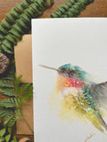 Flutter Hummingbird Watercolor A7 Greeting Card