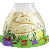 Original Ant Hill™ with Voucher