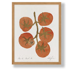 Tomatoe Tomahtoe