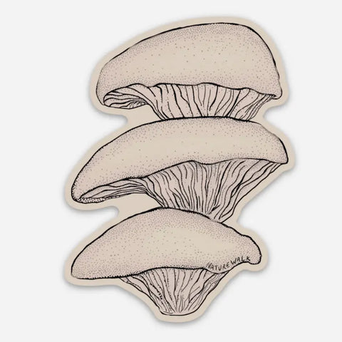 Oyster Mushroom Decal