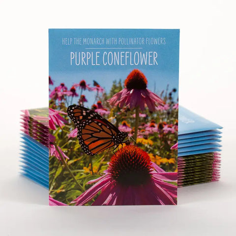 Help the Monarch Butterfly - Purple Coneflower Seed Packets