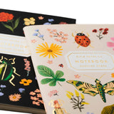 Pair of 2 Curio Pocket Notebooks