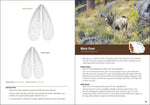 Animal Tracks of the Midwest: Easy-to-use Guide with 90 Track Illustrations