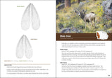 Animal Tracks of the Midwest: Easy-to-use Guide with 90 Track Illustrations