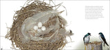 Bird Nests: Amazingly Ingenious and Intricate (Nature Appreciation) by Stan Tekeila