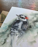 Downy Woodpecker Watercolor A7 Greeting Card