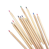 Colored Pencils - Case