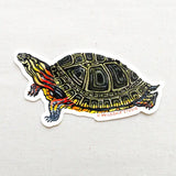 Painted Turtle Vinyl Sticker