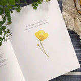 Freely and Lightly: God's Gracious Invitation to a Life of Quiet Confidence by Emily Lex