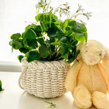April Basket Kit -  Ivory