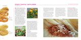 Natural Dyeing with Plants: Glorious Colors from Roots, Leaves & Flowers by Franziska Ebner & Romana Hasenöhrl
