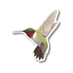 Ruby-Throated Hummingbird Nature Sticker
