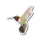 Ruby-Throated Hummingbird Nature Sticker
