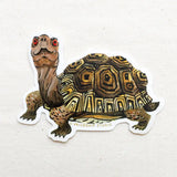 Box Turtle Vinyl Sticker