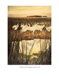 The Yearling by Marjorie Kinnan Rawlings, N.C. Wyeth (Scribner Classics)