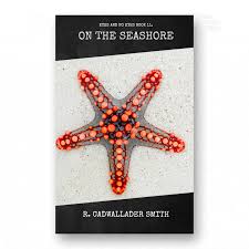 On the Seashore (Eyes and No Eyes Book 11) by R. Cadwallader Smith