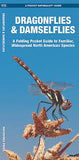 Dragonflies & Damselflies: A Folding Pocket Guide to Familiar Widespread, North American Species
