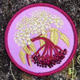 Elderberry Patch