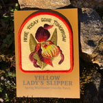 Yellow Lady's Slipper