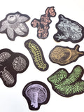 Tree Frog Sticker