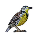 Western Meadowlark Patch